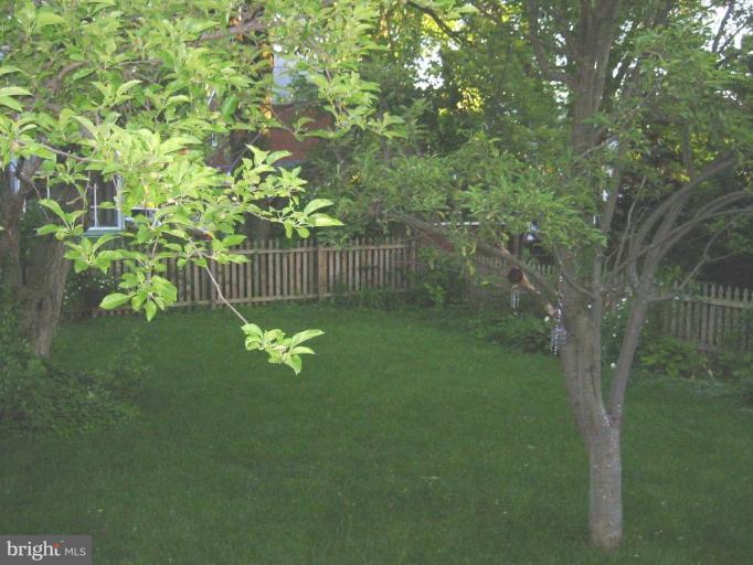4616 23rd Road North Arlington, VA 22207 - Photo 7 of 8 Other #4