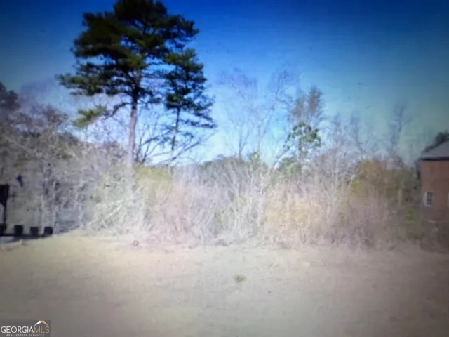 a view of a forest with a tree