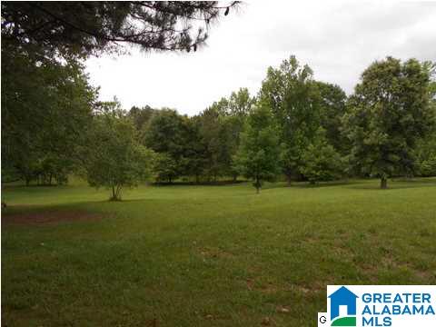 655 Wilson Chapel Road Oneonta, AL 35121 - Photo 6 of 10