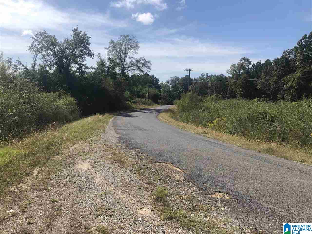 Lost Creek Road Carbon Hill, AL 35549 - Photo 6 of 6