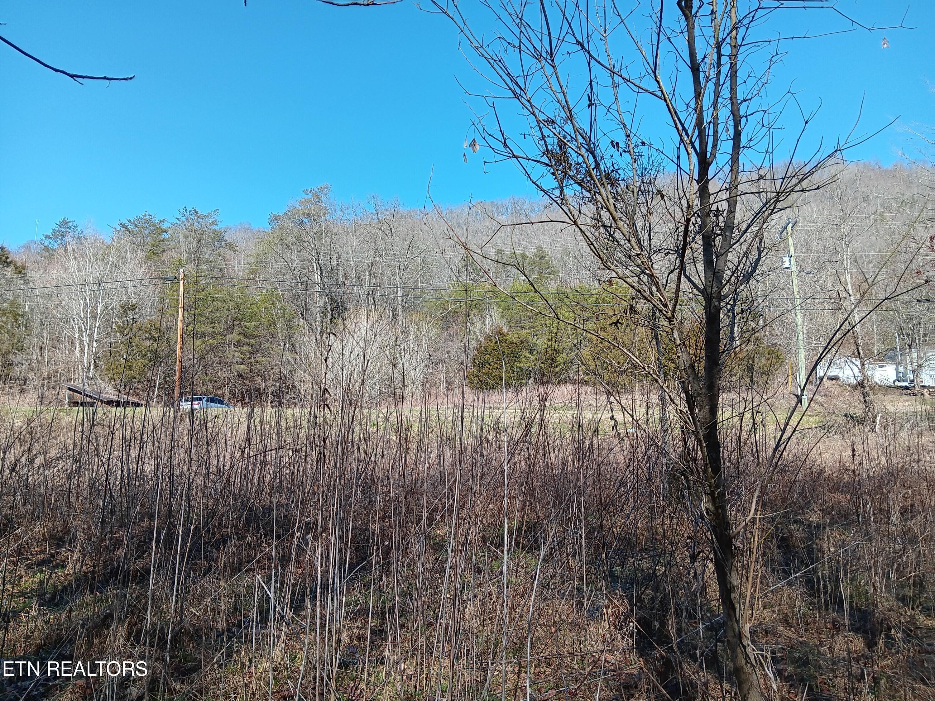 0 Cracker Neck Road Washburn, TN 37888 - Photo 13 of 19 20240225_103716