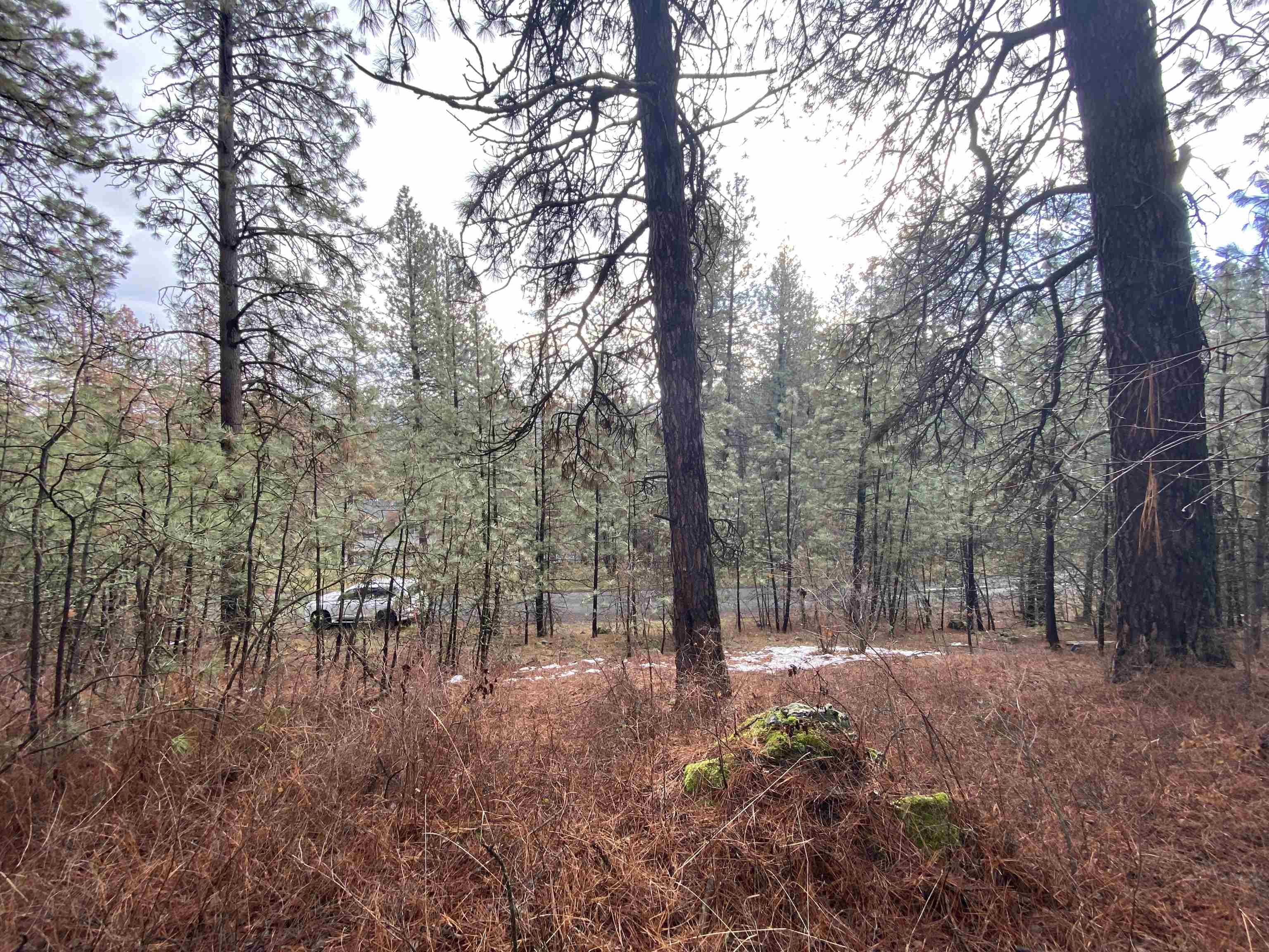 10-xx South Azalea Drive Spokane, WA 99224 - Photo 3 of 13