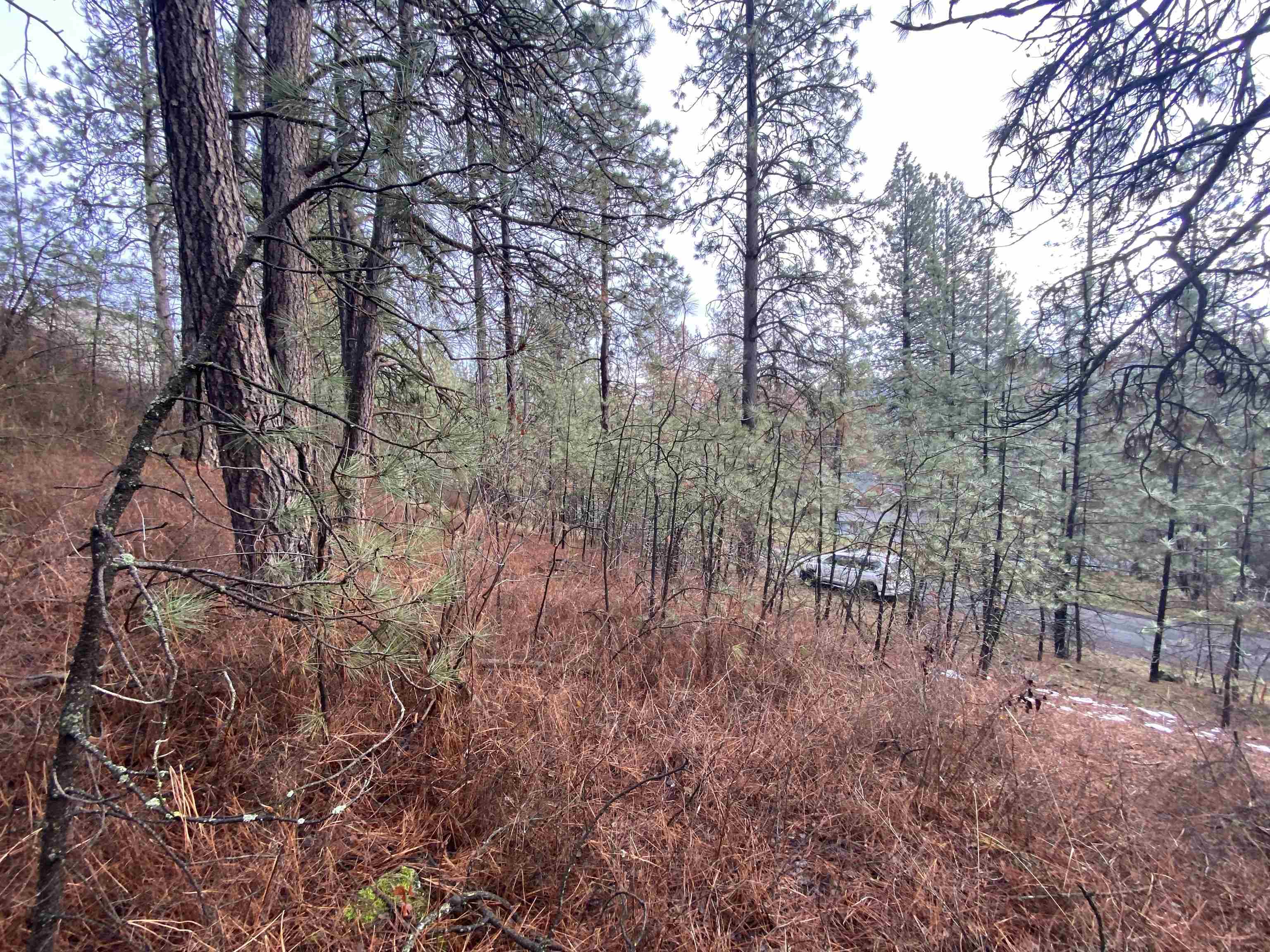 10-xx South Azalea Drive Spokane, WA 99224 - Photo 4 of 13