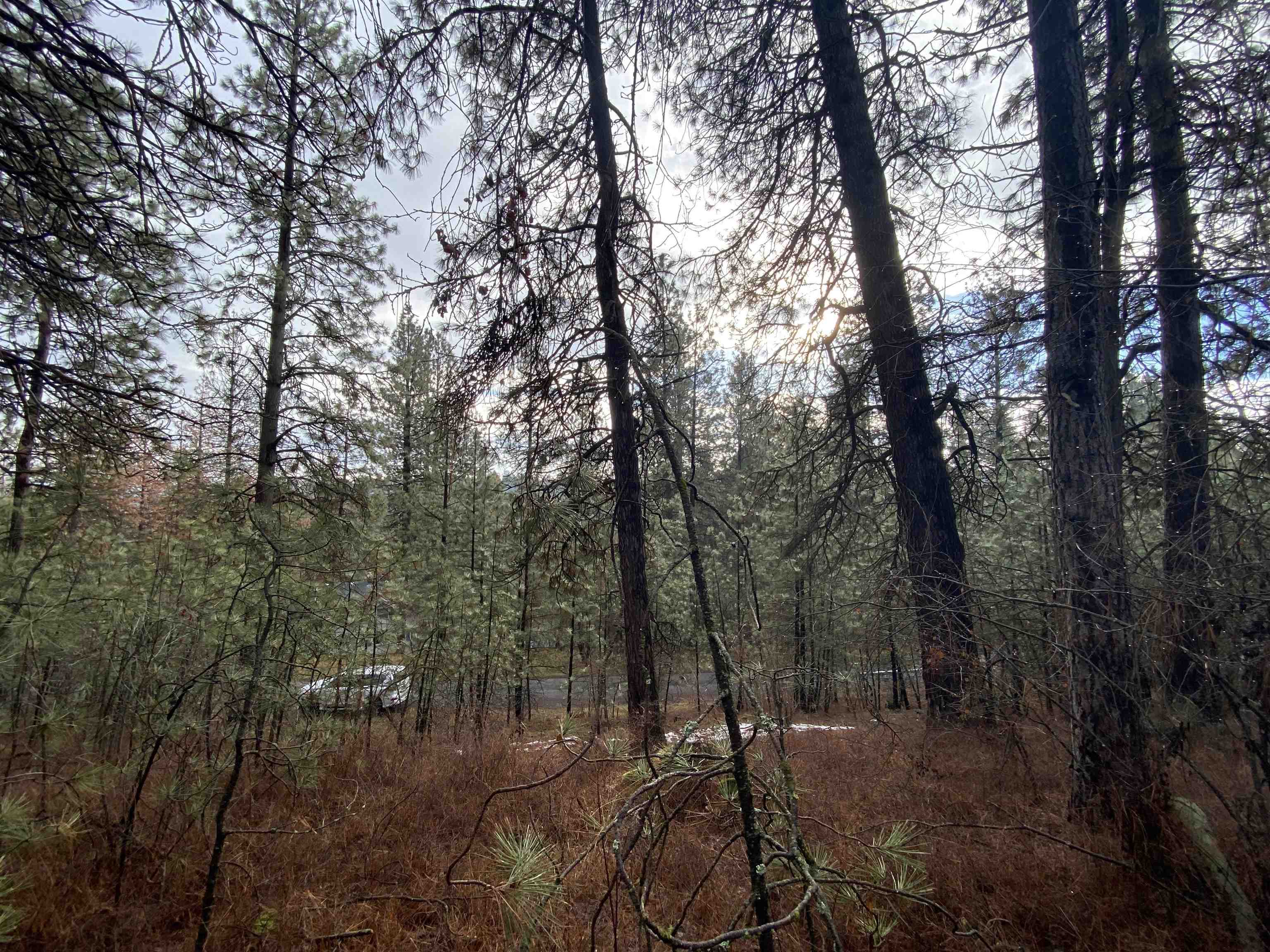 10-xx South Azalea Drive Spokane, WA 99224 - Photo 5 of 13