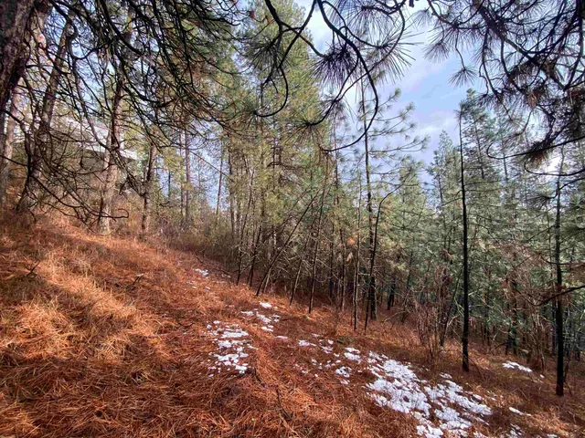 $65,000 | 10-xx South Azalea Drive, Spokane, WA 99224