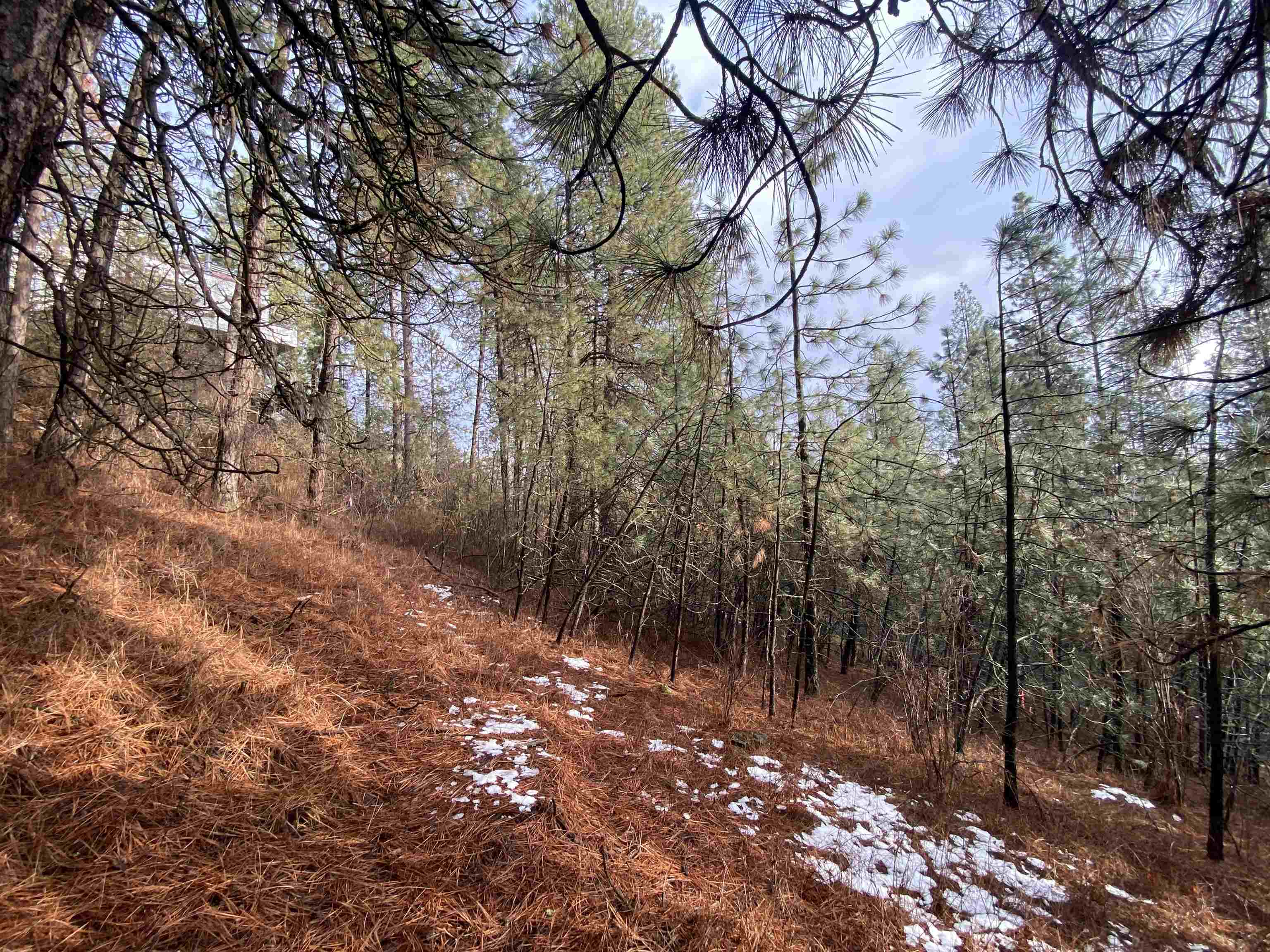 10-xx South Azalea Drive Spokane, WA 99224 - Photo 8 of 13