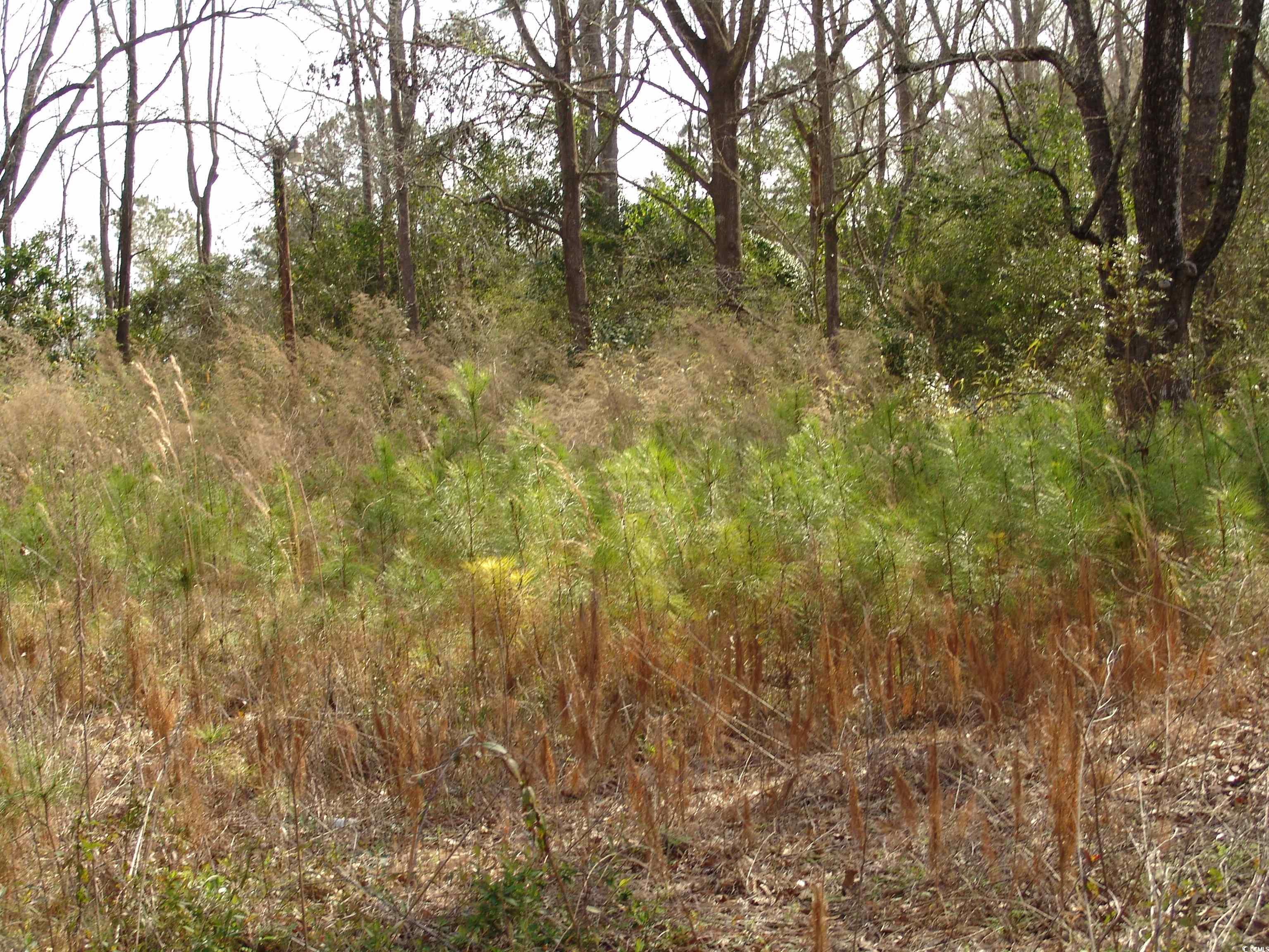 413 South Magnolia Ave