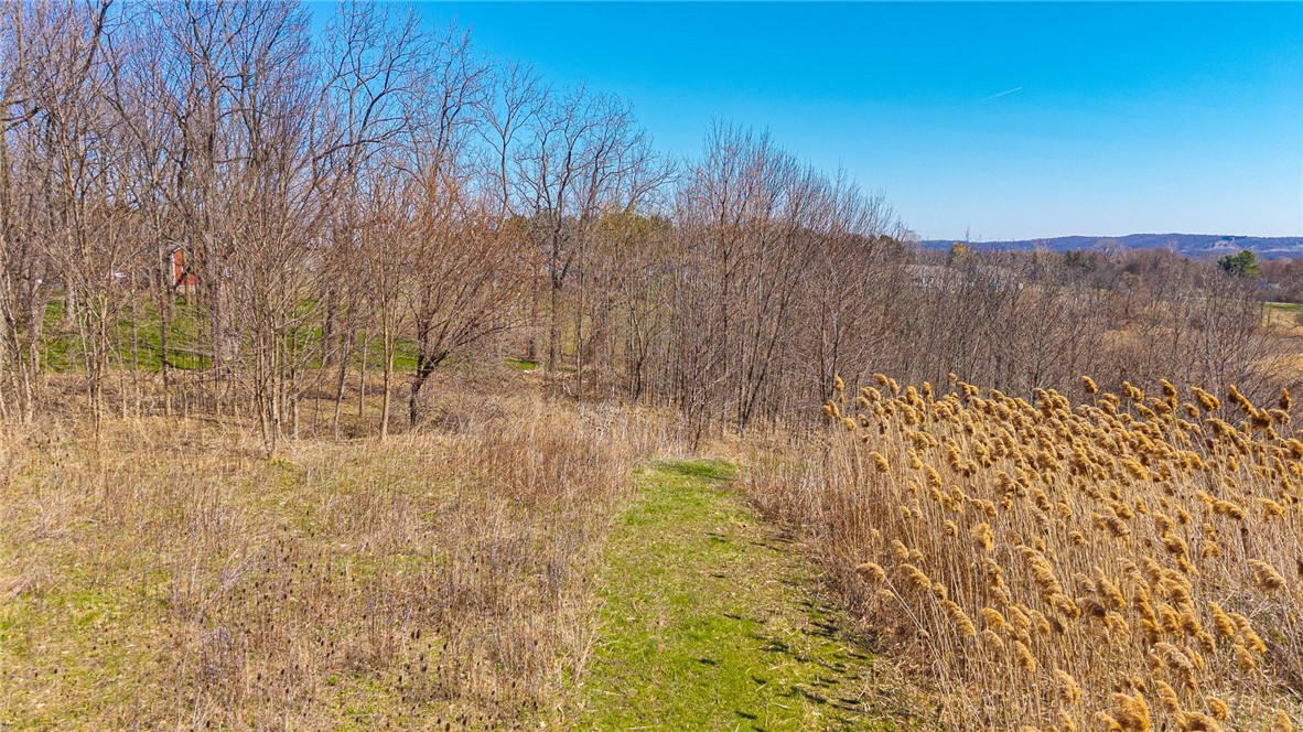 260 West Bloomfield Road Pittsford, NY 14534 - Photo 20 of 25