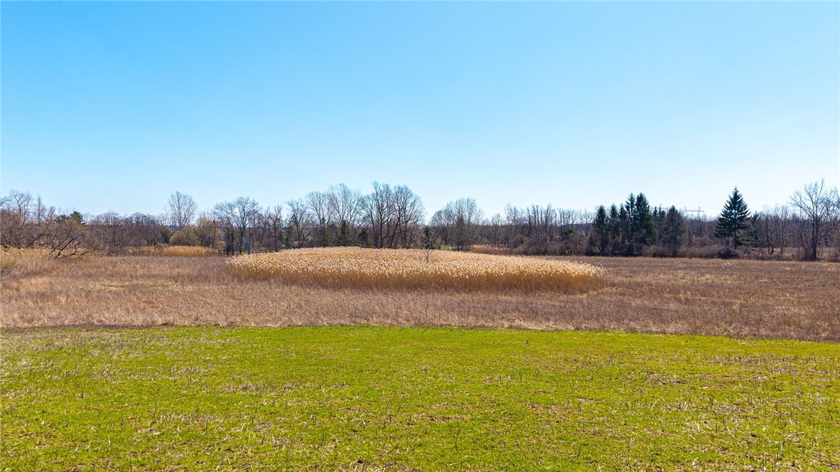 260 West Bloomfield Road Pittsford, NY 14534 - Photo 2 of 25