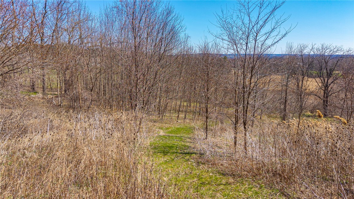 260 West Bloomfield Road Pittsford, NY 14534 - Photo 21 of 25