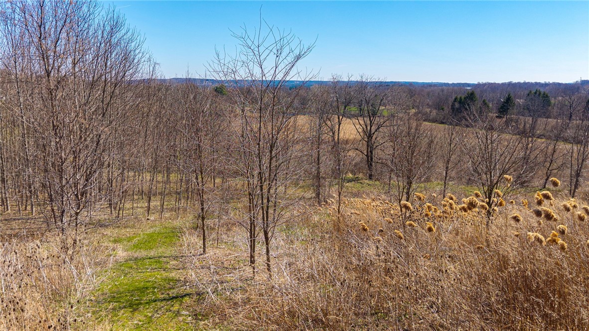 260 West Bloomfield Road Pittsford, NY 14534 - Photo 22 of 25