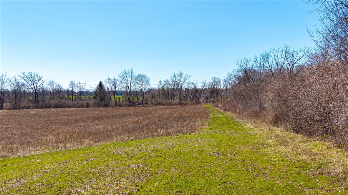 260 West Bloomfield Road Pittsford, NY 14534 - Photo 3 of 25