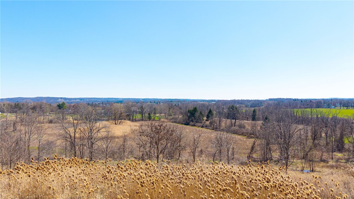 260 West Bloomfield Road Pittsford, NY 14534 - Photo 5 of 25