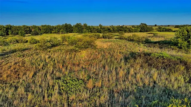 a view of a backyard with wooden fence