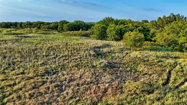 a view of a field of grass and trees