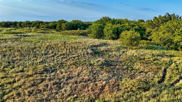 a view of a field of grass and trees