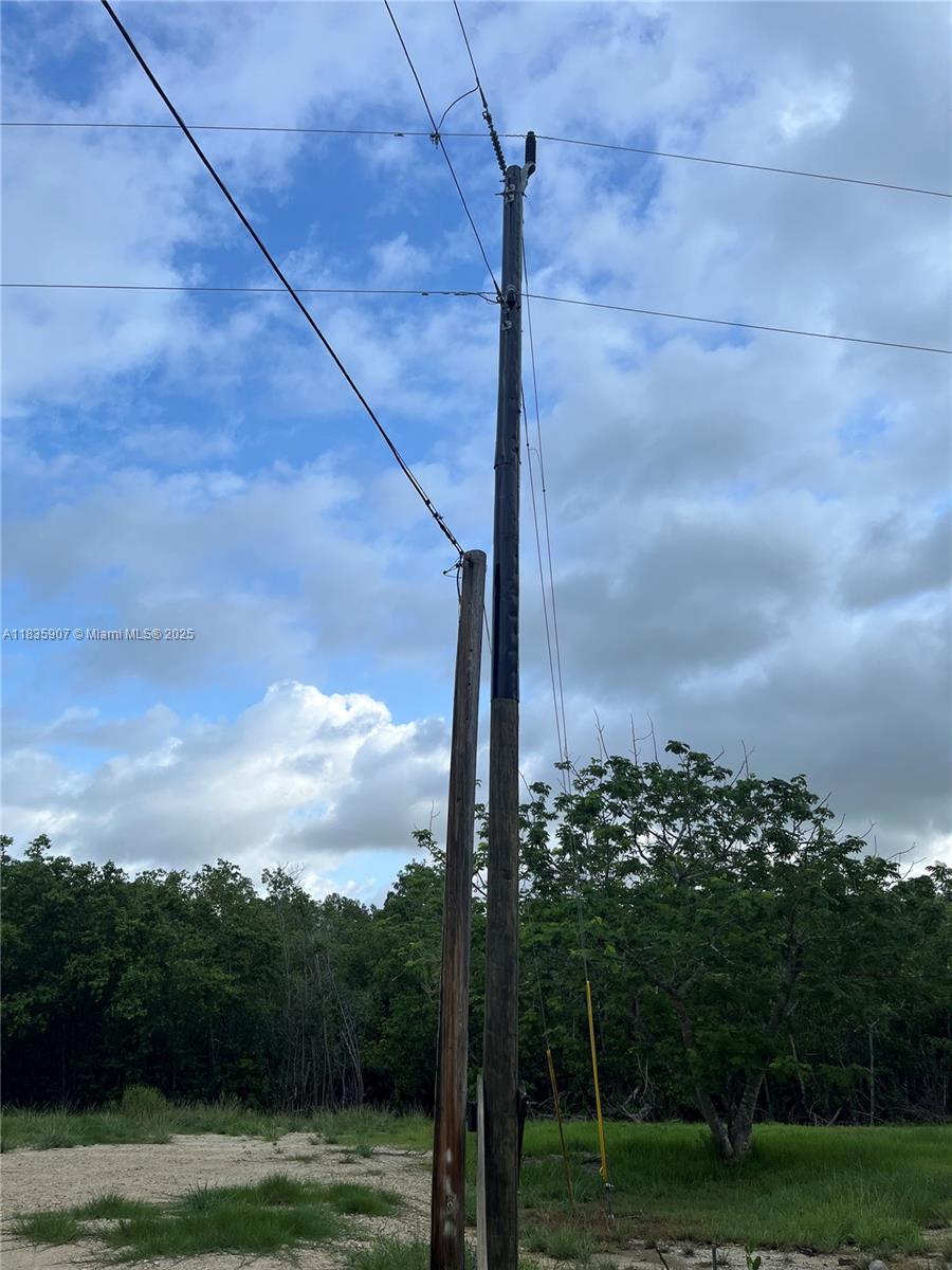 22 Plantation Drive Everglades City, FL 34139 - Photo 7 of 7 a view of a yard with palm trees