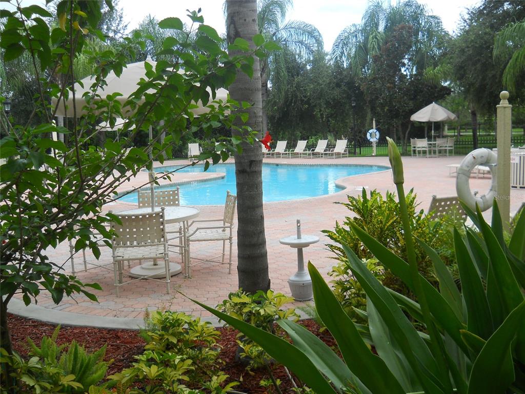 5180 Northridge Road, Unit 105 Sarasota, FL 34238 - Photo 11 of 12 a view of swimming pool with a patio