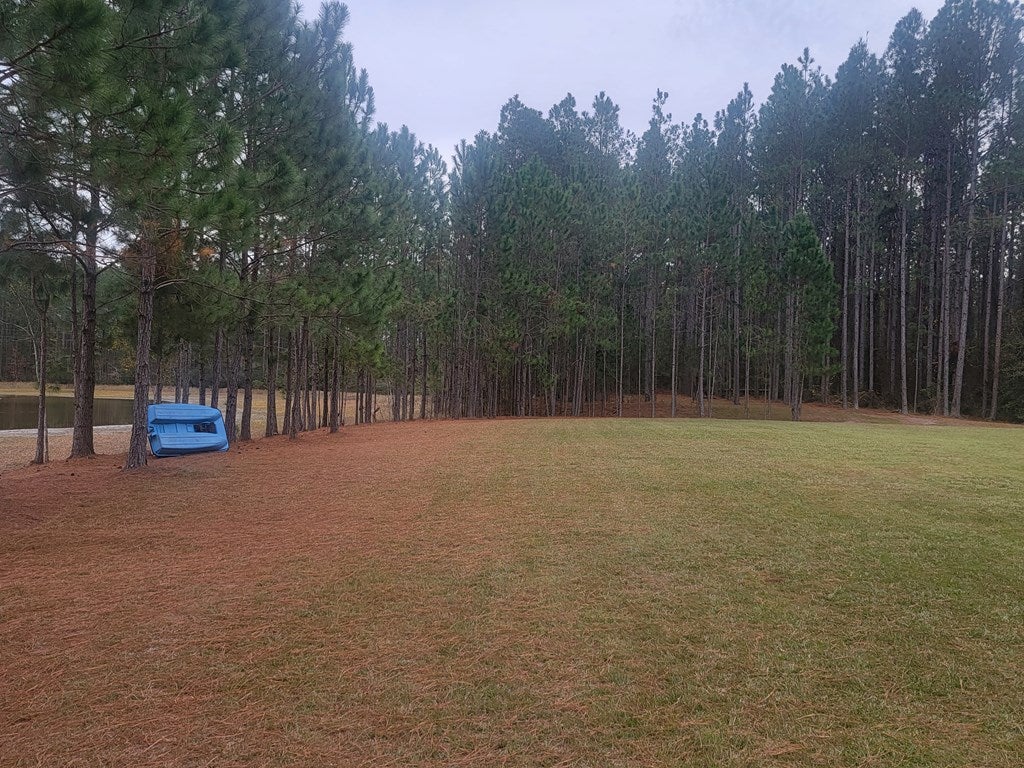 236 Browning Road Adel, GA 31620 - Photo 60 of 66 Gallery Image 60