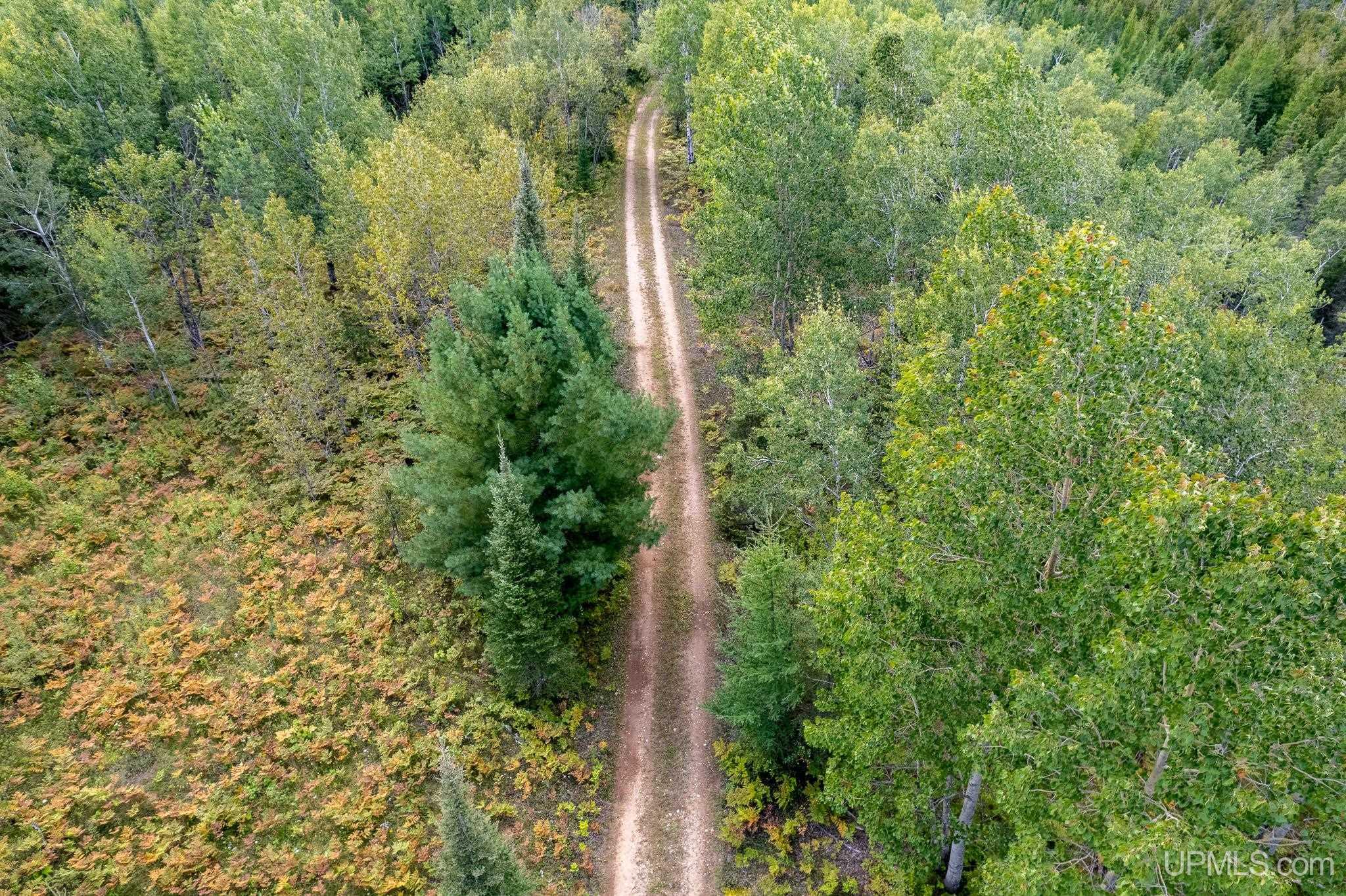 Tbd Off River Road North 40 Road Perronville, MI 49873 - Photo 6 of 12