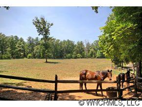 1184 Hunting Country Road Tryon, NC 28782 - Photo 12 of 12 a view of swimming pool with seating area and trees in the background