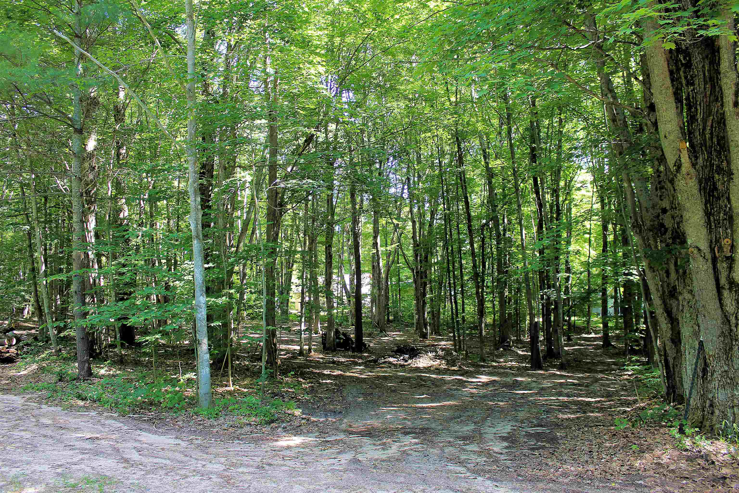 0 Northeast Chwastek Road Kalkaska, MI 49646 - Photo 11 of 18