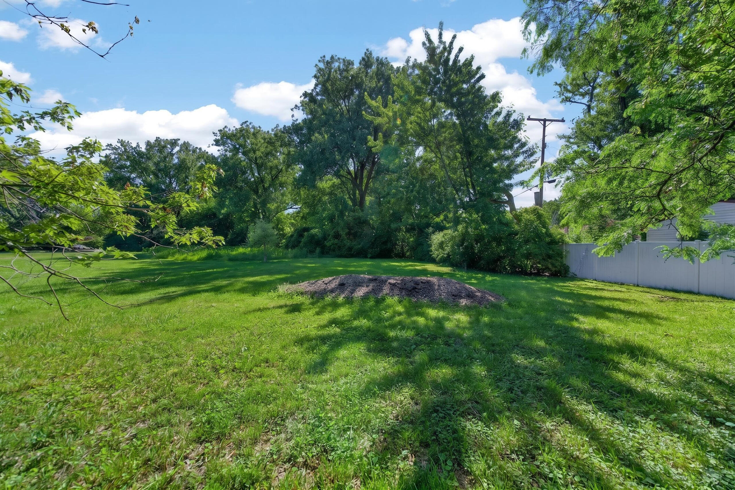 23830 Scotia Road Oak Park, MI 48237 - Photo 26 of 28 DSC01275
