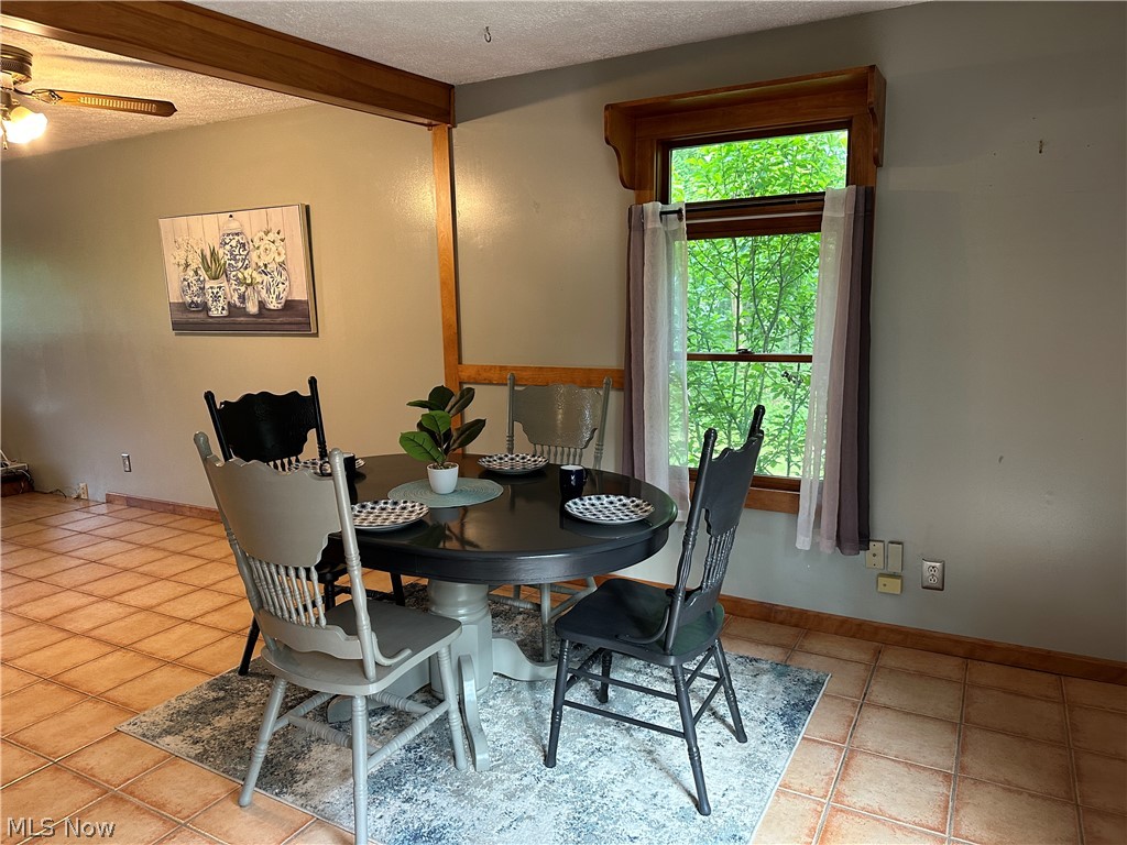 8484 Whipporwill Road Ravenna, OH 44266 - Photo 5 of 21 Tiled dining area with a textured ceiling and ceiling fan