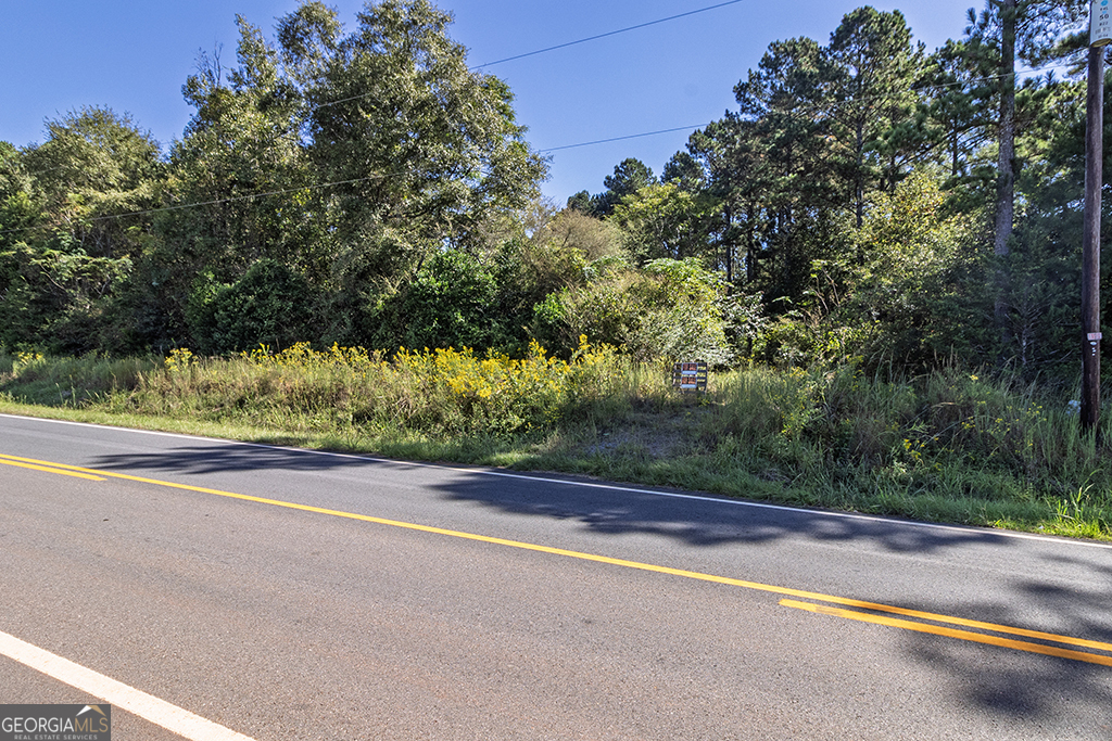 0 Rest Haven Road Yatesville, GA 31097 - Photo 11 of 23