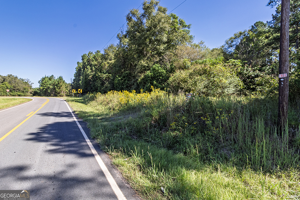 0 Rest Haven Road Yatesville, GA 31097 - Photo 12 of 23 a view of a pathway both side of green space