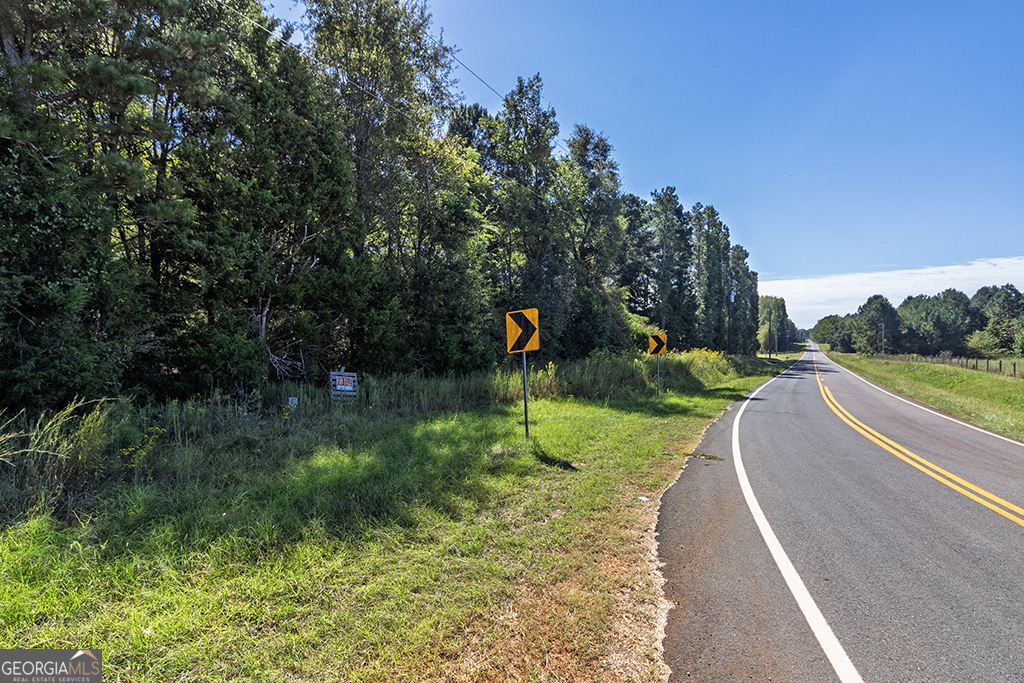 0 Rest Haven Road Yatesville, GA 31097 - Photo 14 of 23