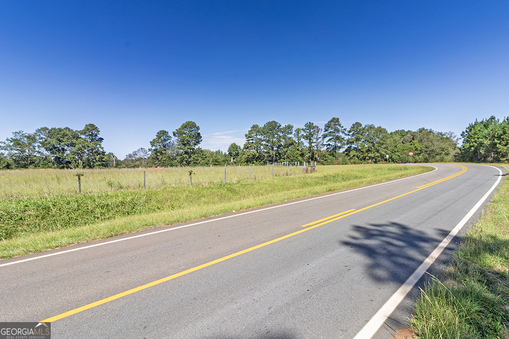 0 Rest Haven Road Yatesville, GA 31097 - Photo 16 of 23 a view of a yard with an ocean view