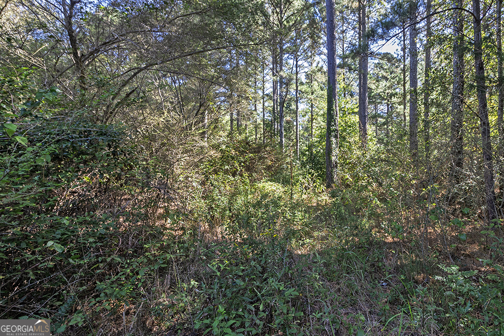 0 Rest Haven Road Yatesville, GA 31097 - Photo 21 of 23 a view of a yard with a tree