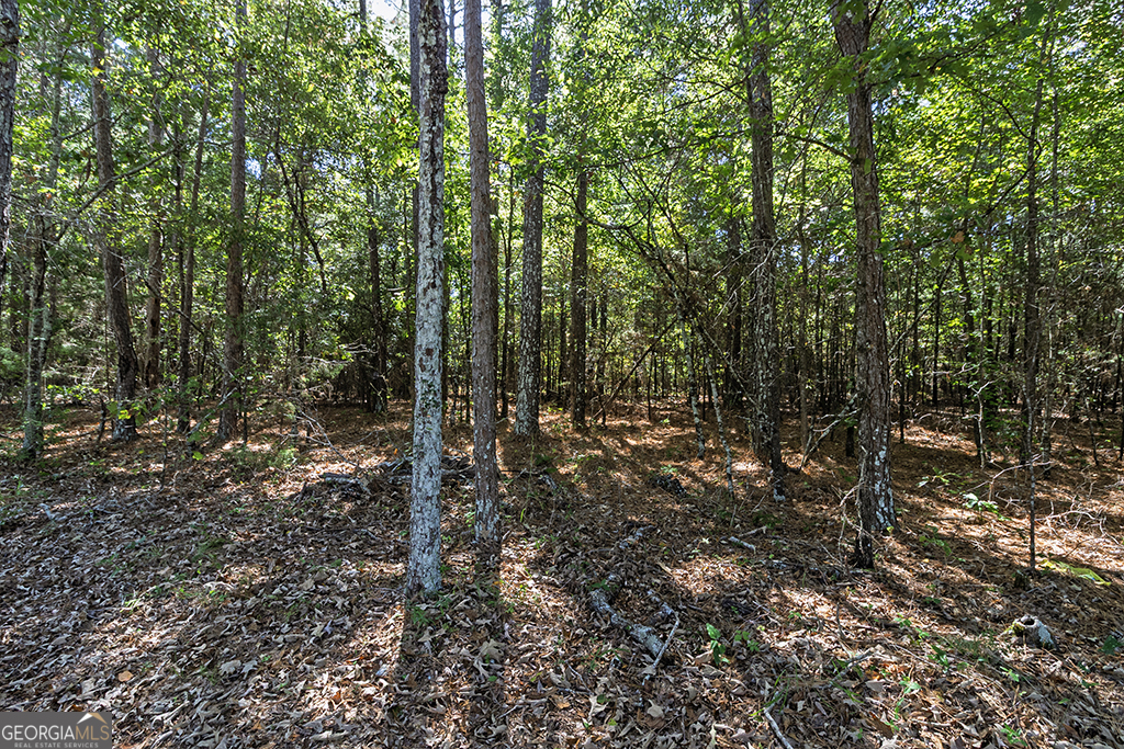 0 Rest Haven Road Yatesville, GA 31097 - Photo 22 of 23 a view of a forest with trees