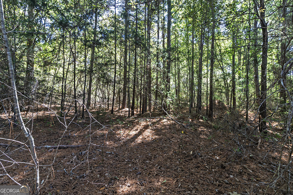 0 Rest Haven Road Yatesville, GA 31097 - Photo 23 of 23 a view of forest