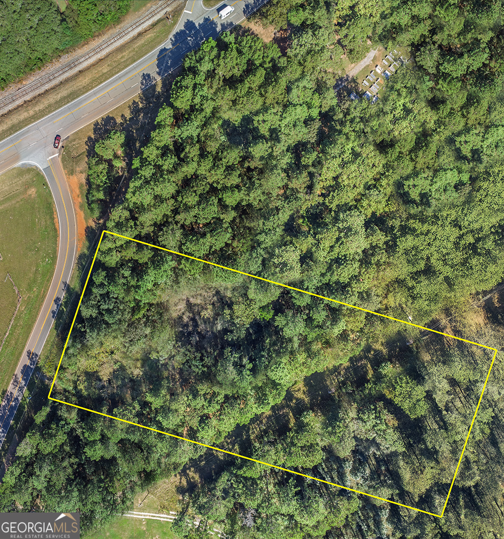 0 Rest Haven Road Yatesville, GA 31097 - Photo 4 of 23 a view of a garden