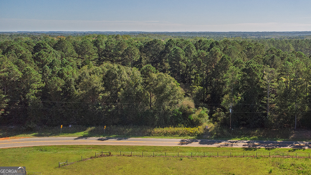 0 Rest Haven Road Yatesville, GA 31097 - Photo 6 of 23 a view of a yard