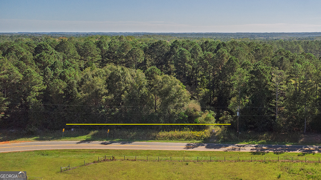 0 Rest Haven Road Yatesville, GA 31097 - Photo 7 of 23 a view of a yard with an outdoor space