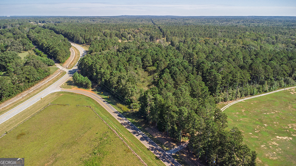 0 Rest Haven Road Yatesville, GA 31097 - Photo 9 of 23 a view of a yard with a swimming pool