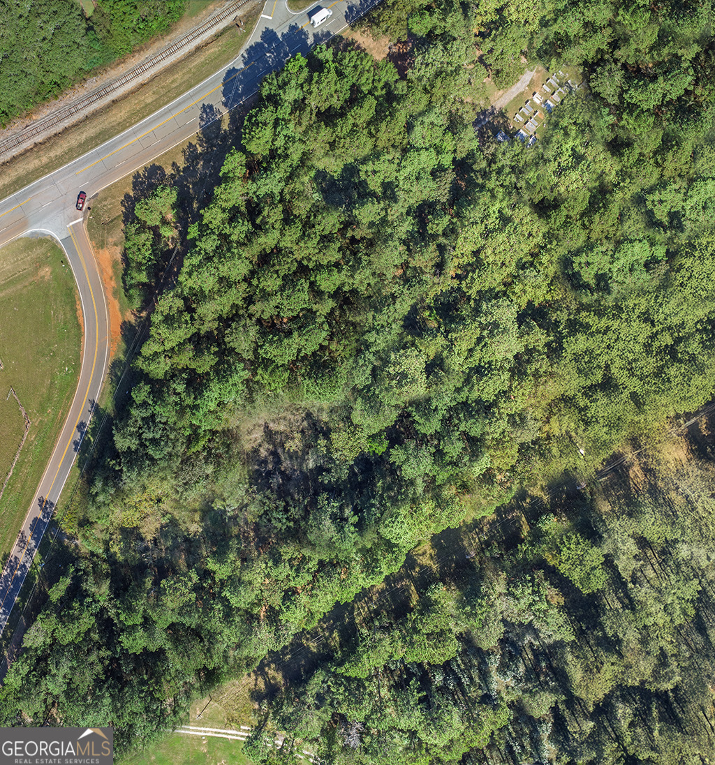 0 Rest Haven Road Yatesville, GA 31097 - Photo 10 of 23 a view of a garden with a plant