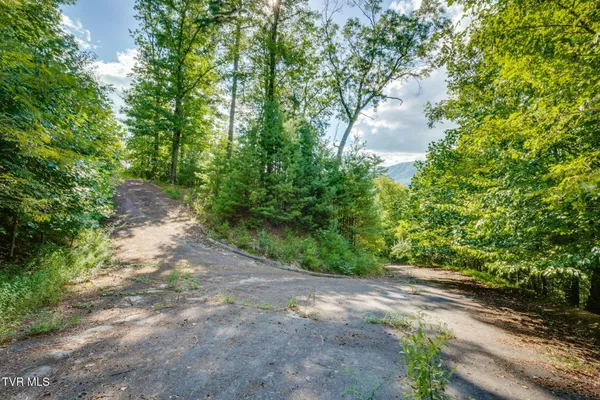 $397,752 | Tbd Cove Ridge Road, Butler, TN 37640