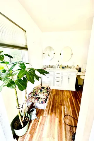 a picture of a flower pot