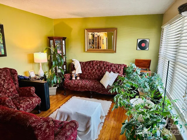 a living room with furniture and a potted plant