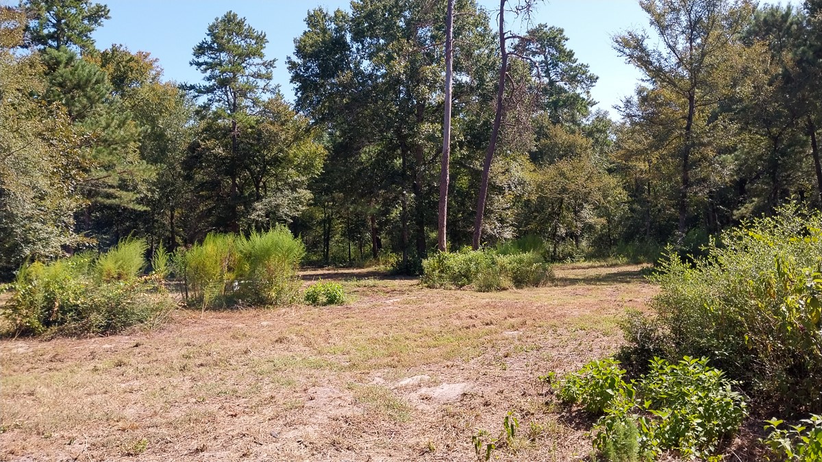 134 Cedar Ridge Huntsville, TX 77320 - Photo 13 of 24 Gallery Image 13