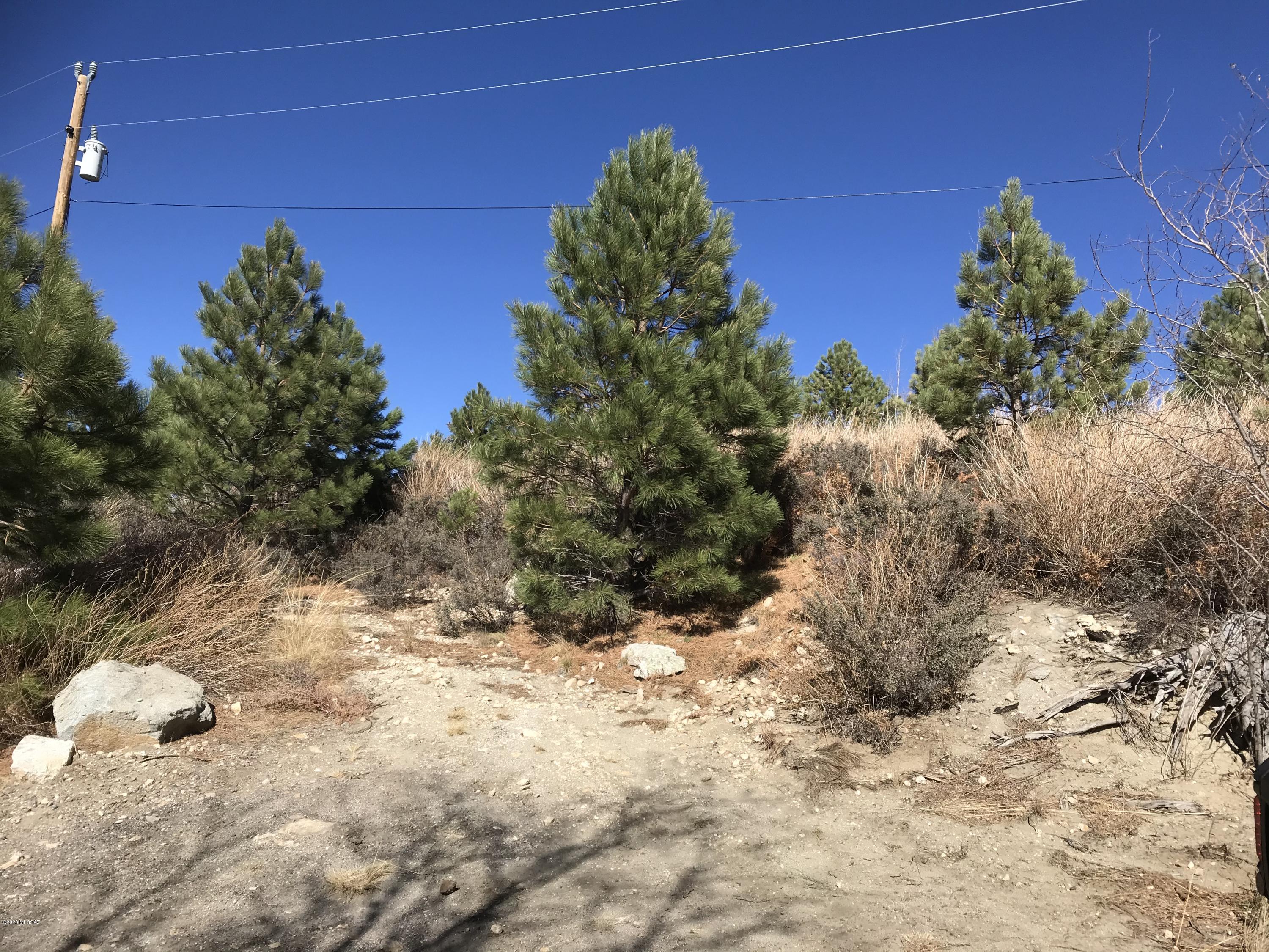12986 Yuma Road, Unit 4 5 Mount Lemmon, AZ 85619 - Photo 2 of 11