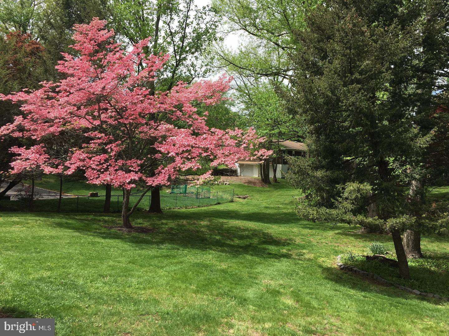 773 Old Raritan Road Edison, NJ 08820 - Photo 13 of 14