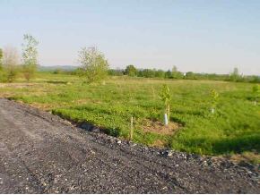 Lot 6 Lord Road Swanton, VT 05488 - Photo 1 of 1 Gallery Image 1