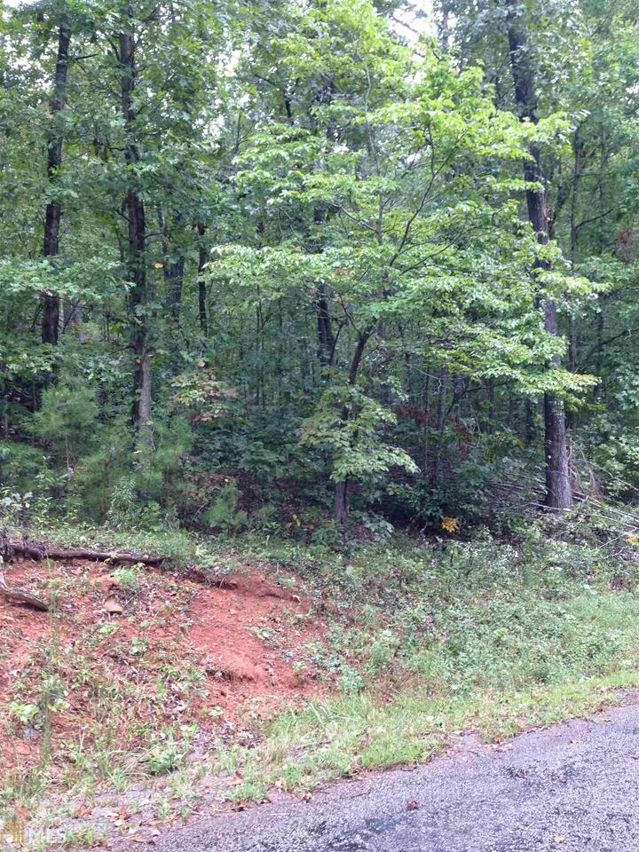 0 Cherokee Road, Unit 63 Toccoa, GA 30577 - Photo 1 of 1
