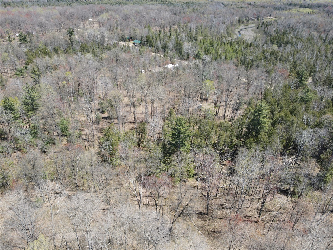 11401 Little George Lake Road Gladwin, MI 48624 - Photo 16 of 72