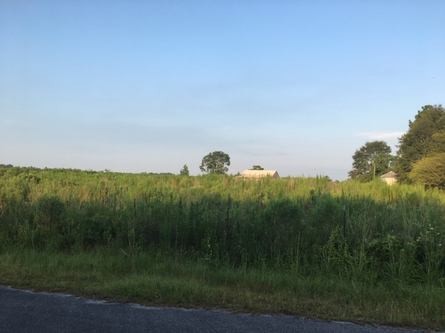 8201 Jakes Road McDavid, FL 32568 - Photo 6 of 10
